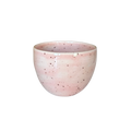 The Morning Cup